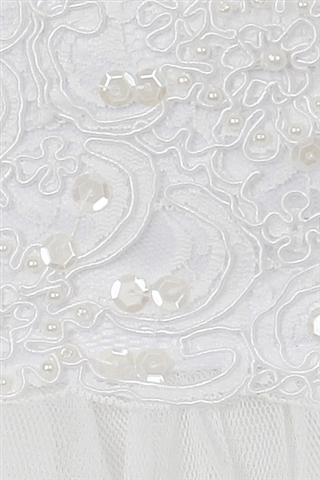 Style No. 198-K - Lace Trim Tulle Dress