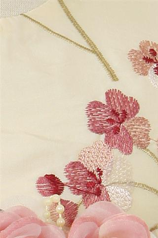 Style No. 228 - Embroidered Taffeta Dress