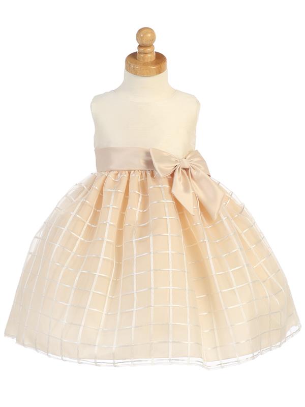 Embroidered Organza Dress.